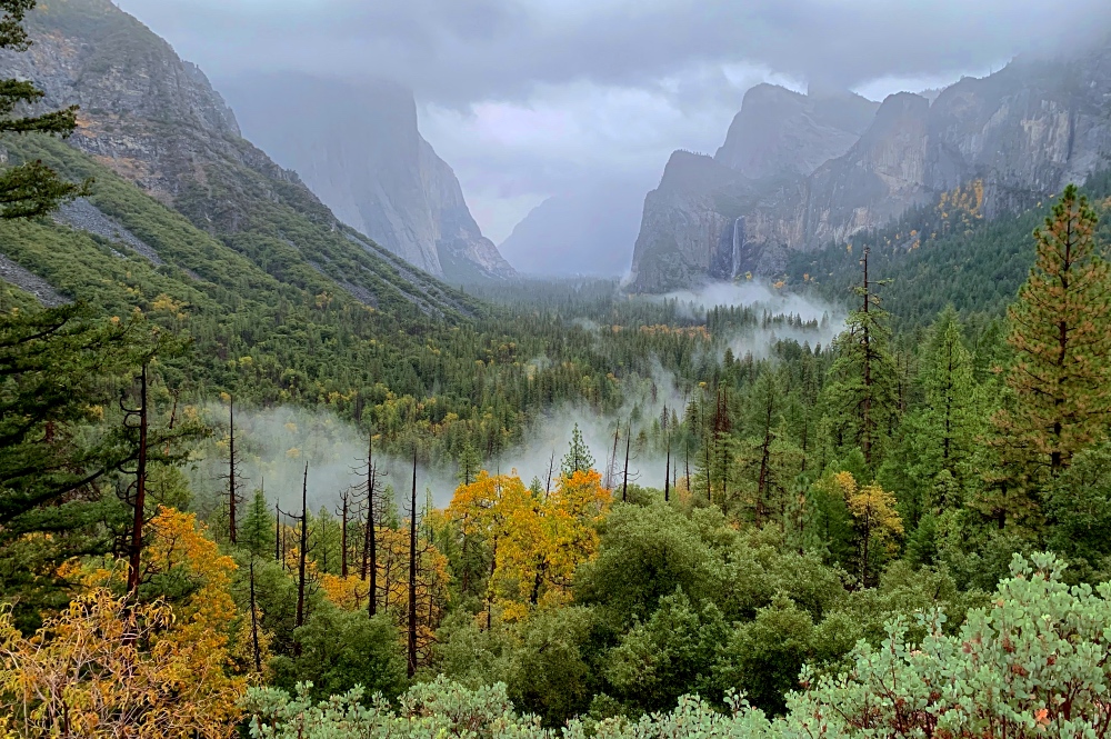 Yosemite Valley Mist