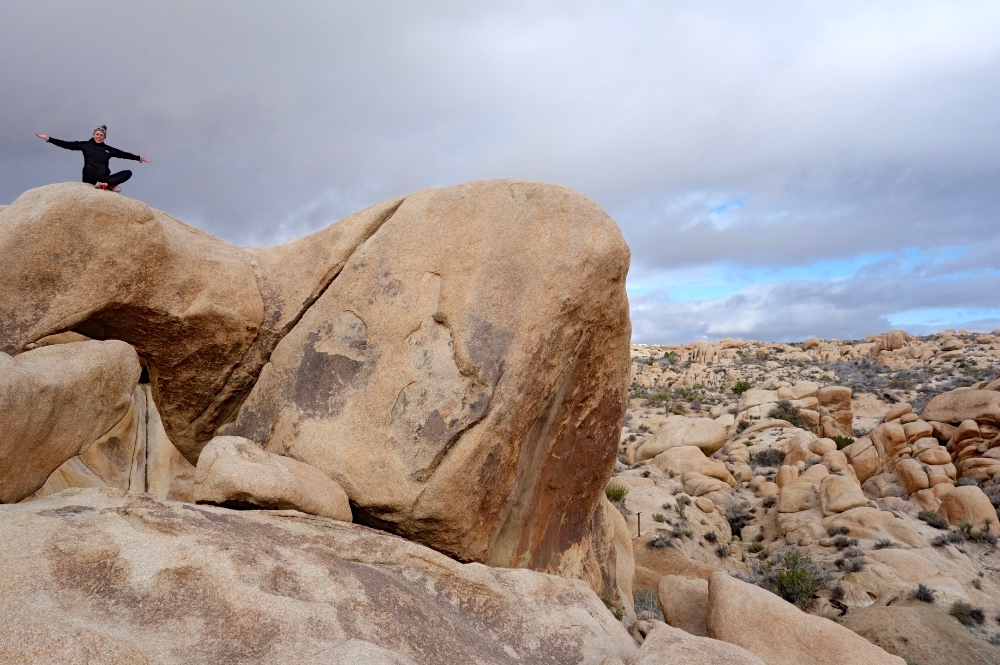 La Guita in Joshua Tree