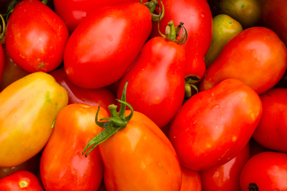 Organic Roma Tomato